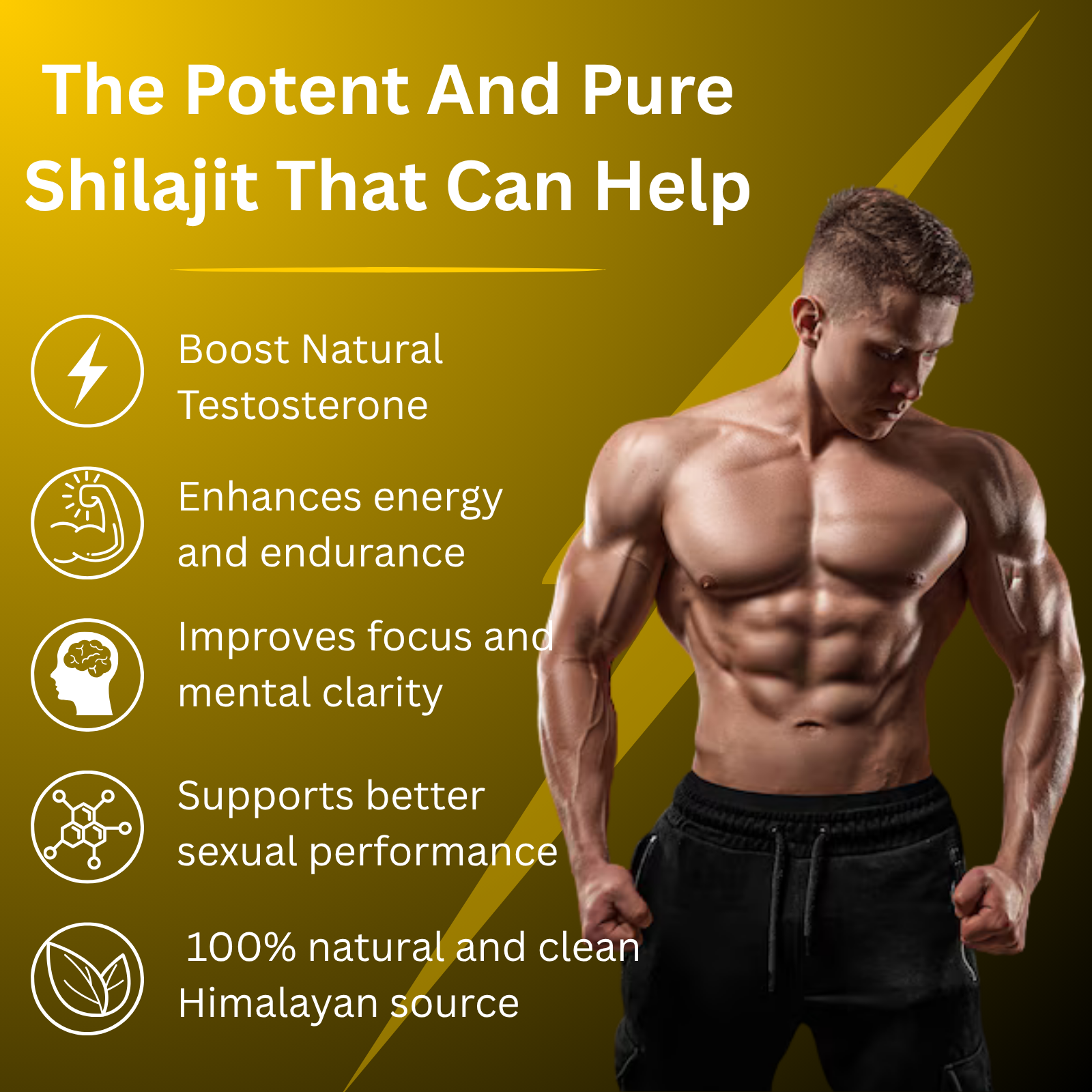 Himalayan Shilajit Gummies
