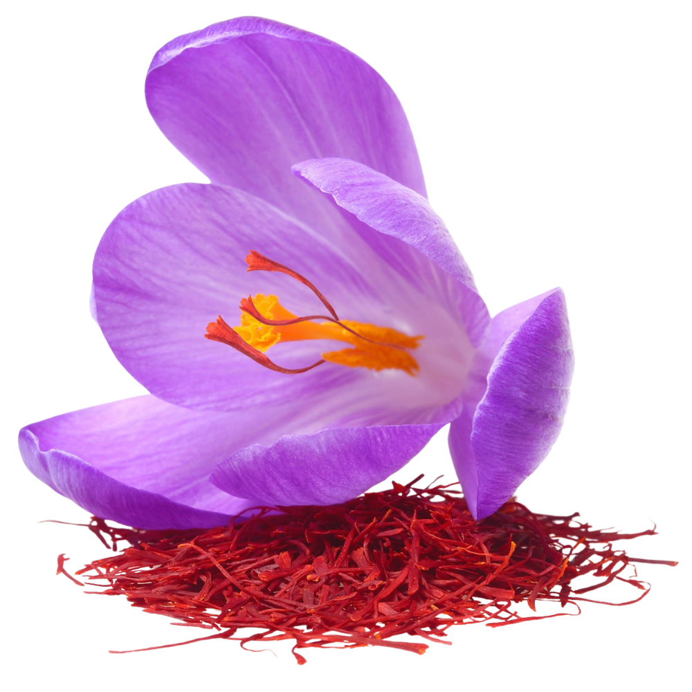Alt Image
