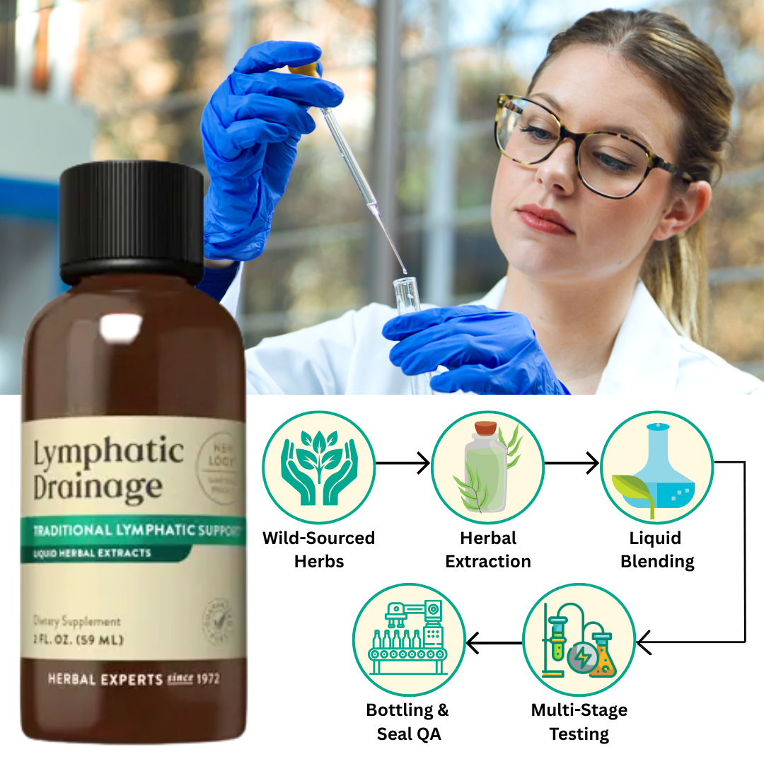 Lymphatic Detox | Total Flow, Clean Energy